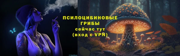 крисы Абдулино