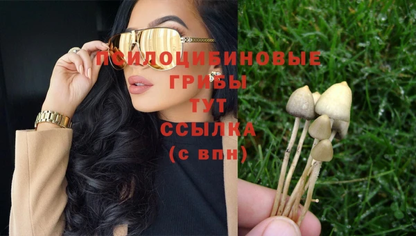 COCAINE Абаза